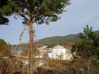 PB290243-2.jpg
