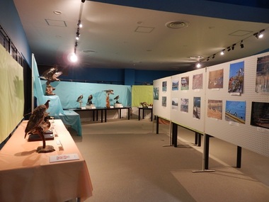 PC210373-2.jpg