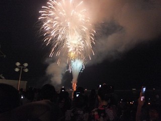 S0704394-2.jpg