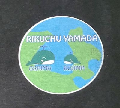 Tシャツ前-柄.jpg