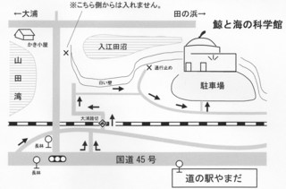 kujiratizu.jpg