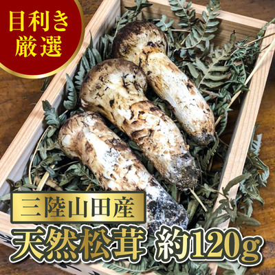 matutake_YD-152.jpg