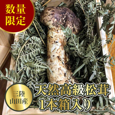 matutake_YD-153.jpg