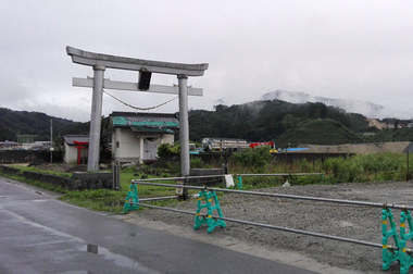 oosugi.jpg