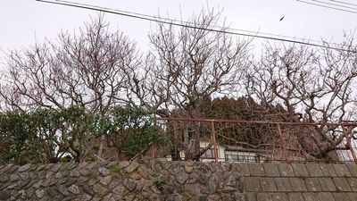 r-DSC_1107.jpg
