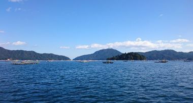 r-DSC_3712.jpg