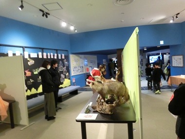 s-CIMG0806.jpg