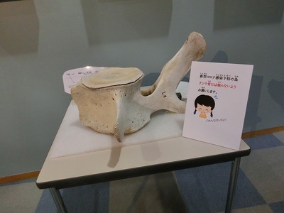 s-CIMG4940.jpg