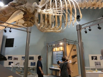 s-CIMG5028.jpg