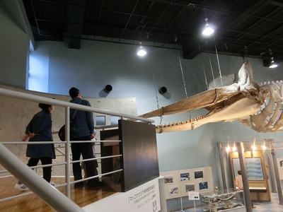 s-CIMG5059.jpg