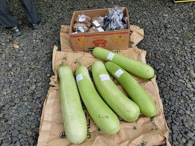 s-CIMG6645.jpg