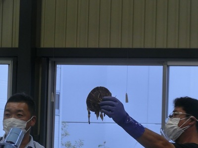 s-CIMG7920.jpg