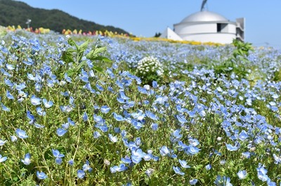s-DSC_0045.jpg