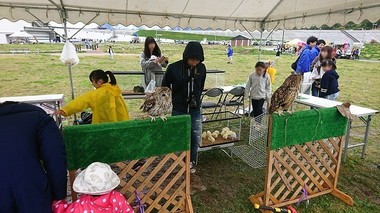 s-DSC_0129(1).jpg