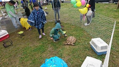 s-DSC_0130(1).jpg