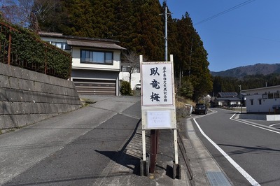 s-DSC_0195.jpg
