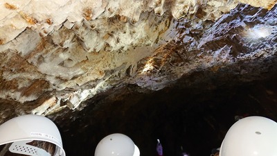 s-DSC_1318.jpg