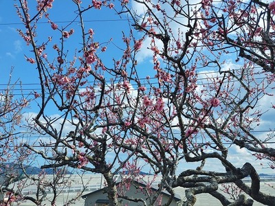 s-IMG00901_HDR.jpg