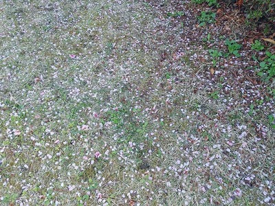 s-IMG00902.jpg