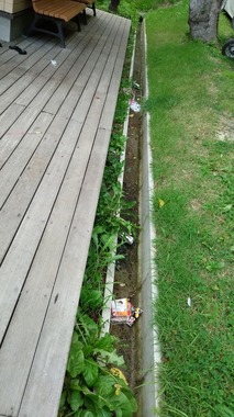 s-IMG_20190817_083113.jpg